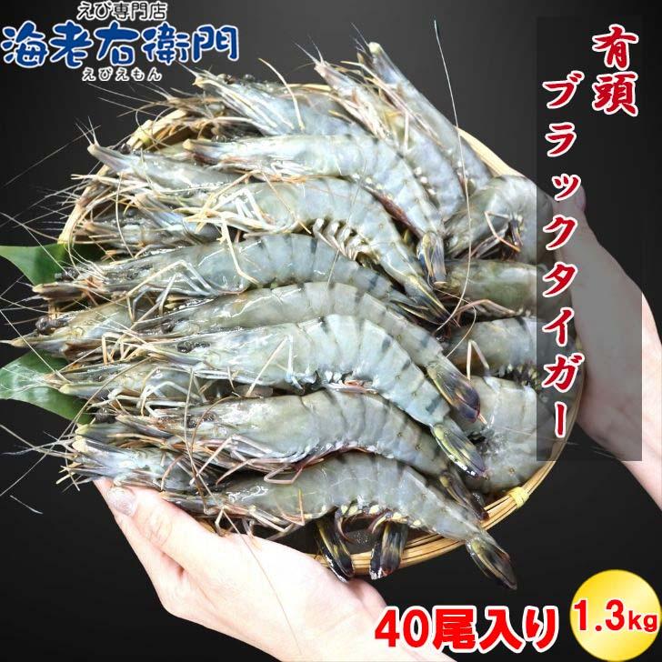 有頭 ブラックタイガー海老 40尾入り 1.3kg　長さ約16cm 1尾約32.5g 冷凍えび スリランカ バーベキュー エビフライ 塩焼き 天ぷら 業務用 |  | 02