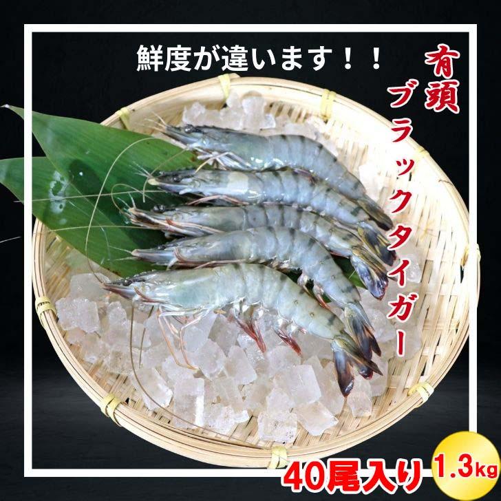 有頭 ブラックタイガー海老 40尾入り 1.3kg　長さ約16cm 1尾約32.5g 冷凍えび スリランカ バーベキュー エビフライ 塩焼き 天ぷら 業務用 |  | 05