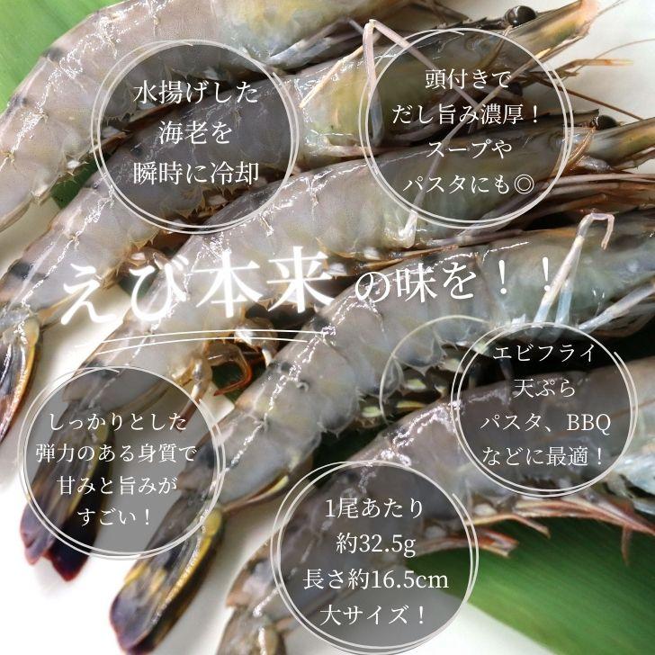有頭 ブラックタイガー海老 40尾入り 1.3kg　長さ約16cm 1尾約32.5g 冷凍えび スリランカ バーベキュー エビフライ 塩焼き 天ぷら 業務用 |  | 01