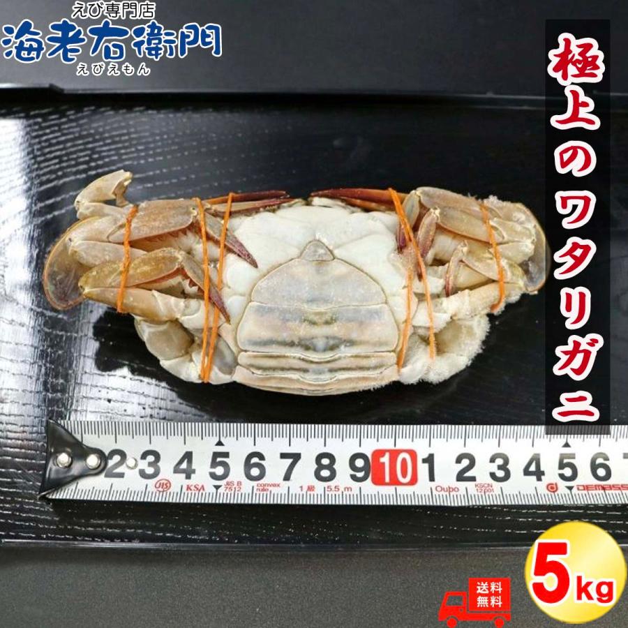 メス限定！極上のワタリガニ スリランカ産 匹100-150g 5kg 40匹前後（1kg約8匹）メス 韓国料理 カンジャンケジャン風 渡り蟹 わたりがに 冷凍 加熱用 業務用 |  | 10