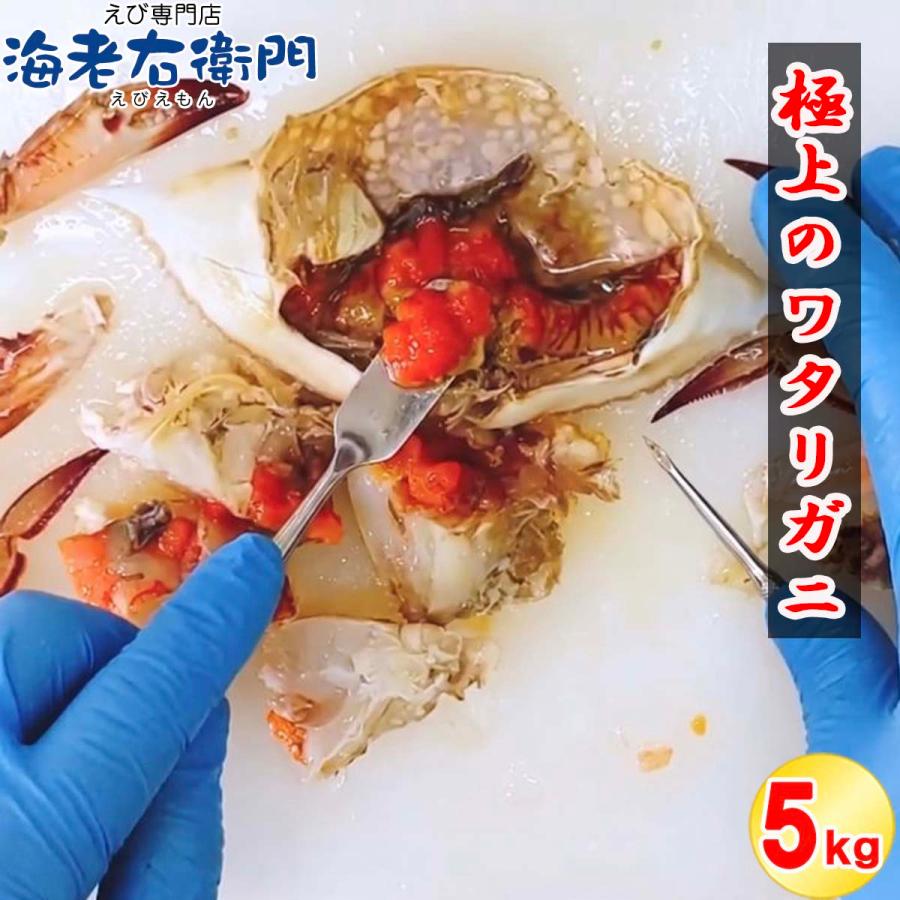 メス限定！極上のワタリガニ スリランカ産 匹200-300g 5kg（1kg約4-5匹）メス イタリアン 韓国料理 カンジャンケジャン風 渡り蟹 わたりがに 冷凍 加熱用 業務用 |  | 03