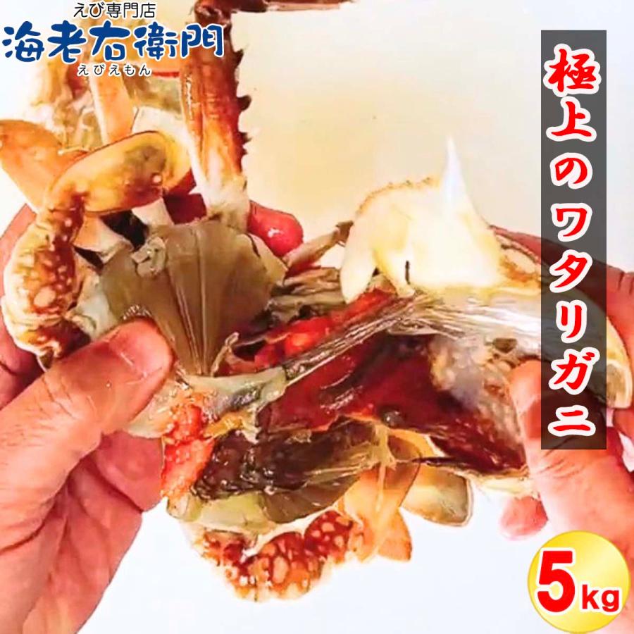メス限定！極上のワタリガニ スリランカ産 匹200-300g 5kg（1kg約4-5匹）メス イタリアン 韓国料理 カンジャンケジャン風 渡り蟹 わたりがに 冷凍 加熱用 業務用 |  | 06