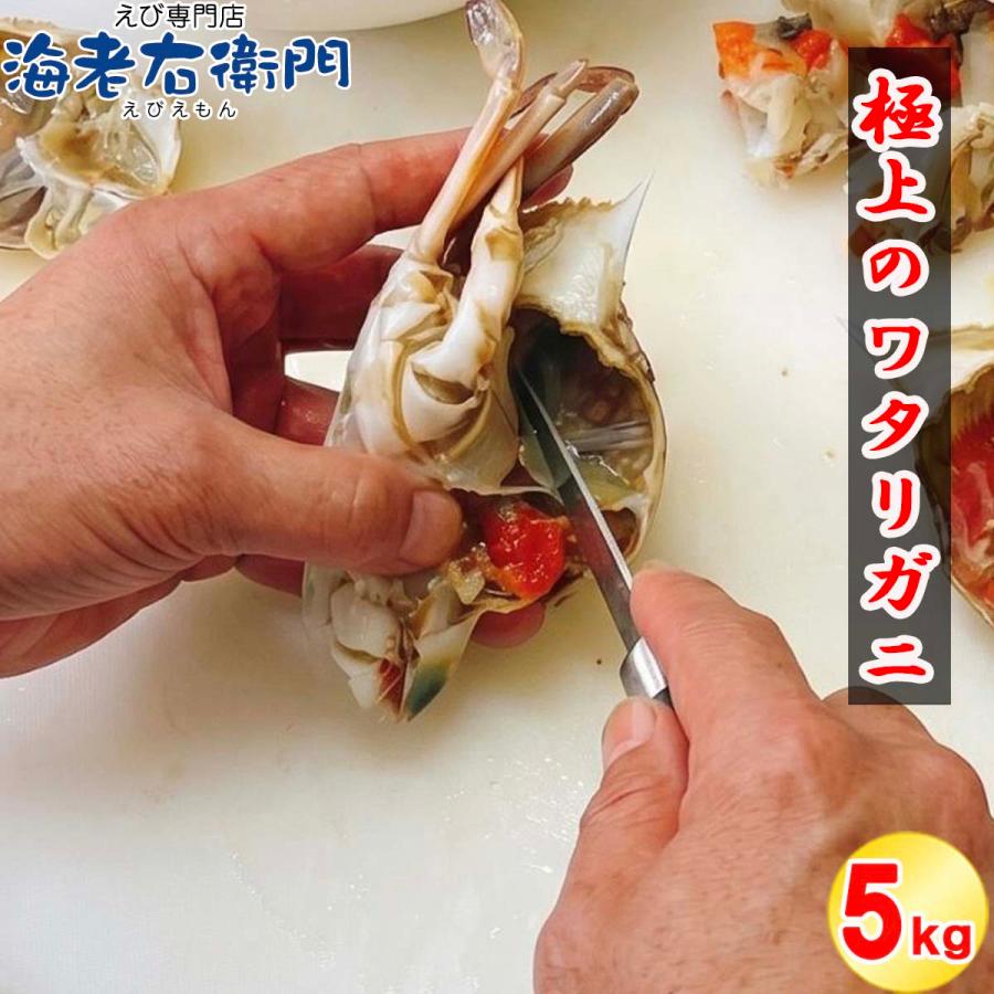 メス限定！極上のワタリガニ スリランカ産 匹200-300g 5kg（1kg約4-5匹）メス イタリアン 韓国料理 カンジャンケジャン風 渡り蟹 わたりがに 冷凍 加熱用 業務用 |  | 11