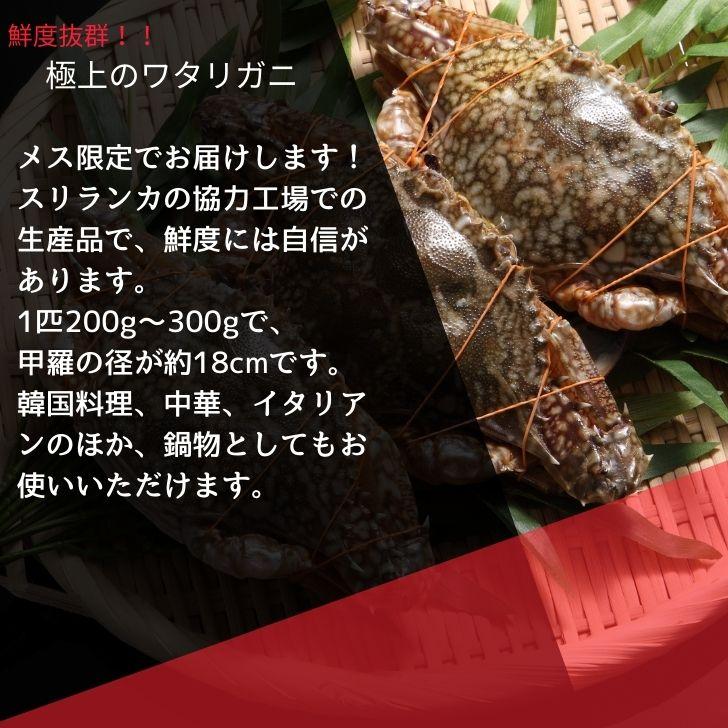 メス限定！極上のワタリガニ スリランカ産 匹200-300g 5kg（1kg約4-5匹）メス イタリアン 韓国料理 カンジャンケジャン風 渡り蟹 わたりがに 冷凍 加熱用 業務用 |  | 04