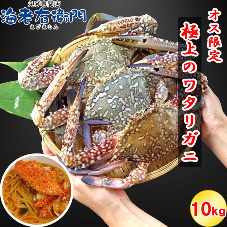 鮮度抜群！極上のワタリガニ スリランカ産 匹300g-400g 10kg 約28〜30杯入り オス限定！ イタリアン 韓国料理 パスタ 渡り蟹 わたりがに 蟹 冷凍 業務用 | 