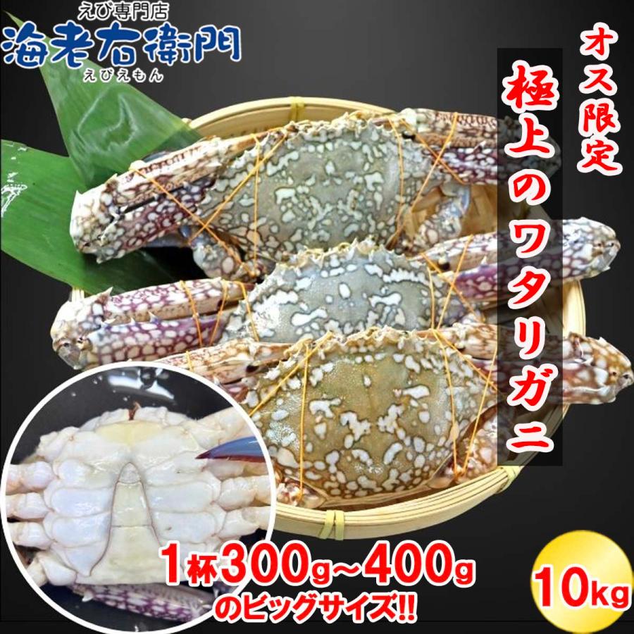 鮮度抜群！極上のワタリガニ スリランカ産 匹300g-400g 10kg 約28〜30杯入り オス限定！ イタリアン 韓国料理 パスタ 渡り蟹 わたりがに 蟹 冷凍 業務用 |  | 10