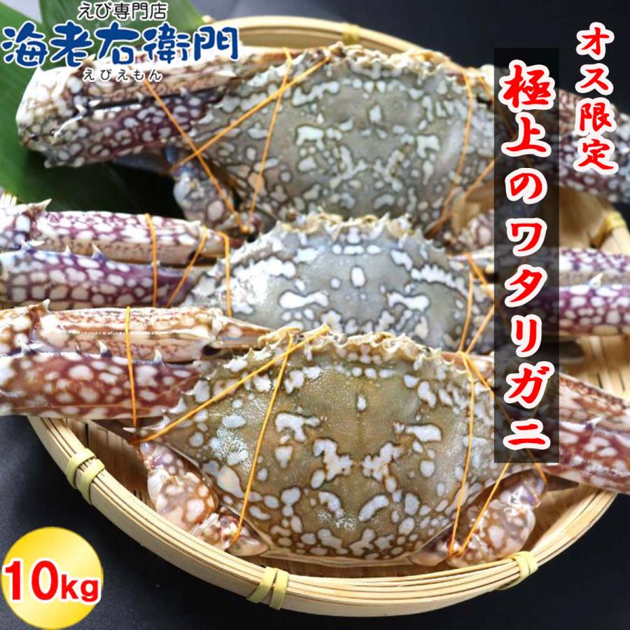 鮮度抜群！極上のワタリガニ スリランカ産 匹300g-400g 10kg 約28〜30杯入り オス限定！ イタリアン 韓国料理 パスタ 渡り蟹 わたりがに 蟹 冷凍 業務用 |  | 11