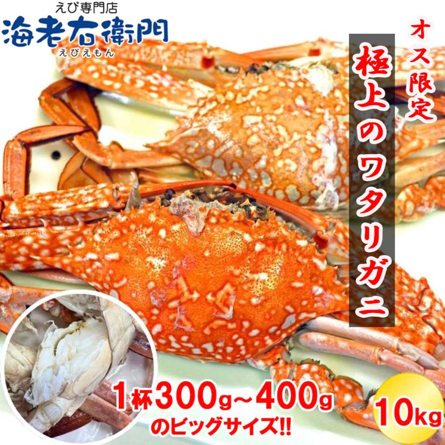 鮮度抜群！極上のワタリガニ スリランカ産 匹300g-400g 10kg 約28〜30杯入り オス限定！ イタリアン 韓国料理 パスタ 渡り蟹 わたりがに 蟹 冷凍 業務用 |  | 12