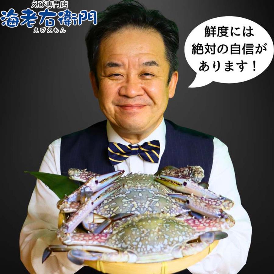 鮮度抜群！極上のワタリガニ スリランカ産 匹300g-400g 10kg 約28〜30杯入り オス限定！ イタリアン 韓国料理 パスタ 渡り蟹 わたりがに 蟹 冷凍 業務用 |  | 13