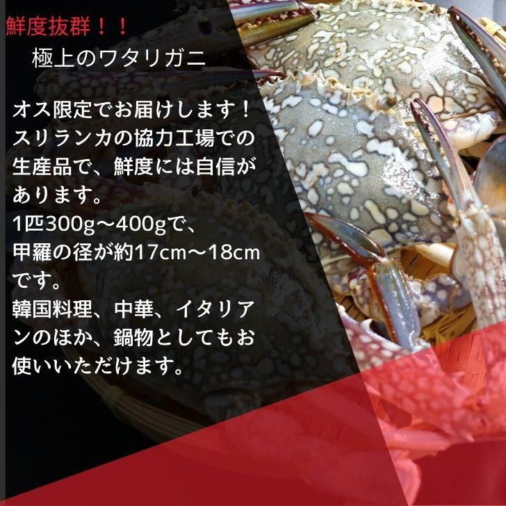 鮮度抜群！極上のワタリガニ スリランカ産 匹300g-400g 10kg 約28〜30杯入り オス限定！ イタリアン 韓国料理 パスタ 渡り蟹 わたりがに 蟹 冷凍 業務用 |  | 02
