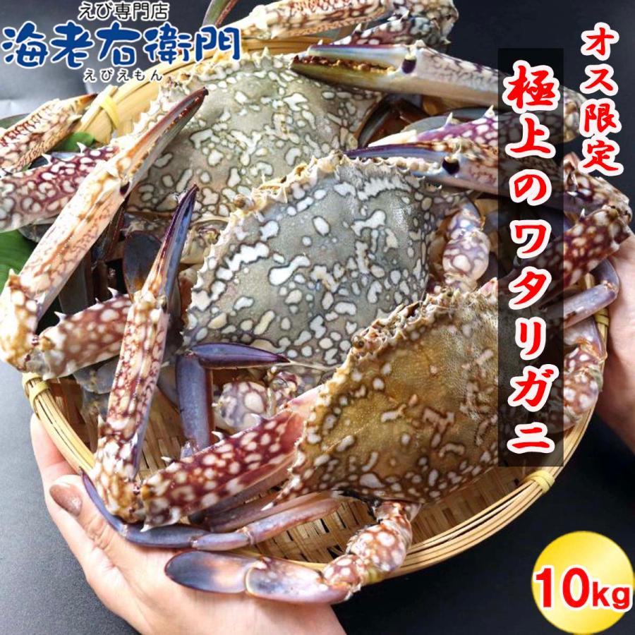 鮮度抜群！極上のワタリガニ スリランカ産 匹300g-400g 10kg 約28〜30杯入り オス限定！ イタリアン 韓国料理 パスタ 渡り蟹 わたりがに 蟹 冷凍 業務用 |  | 03