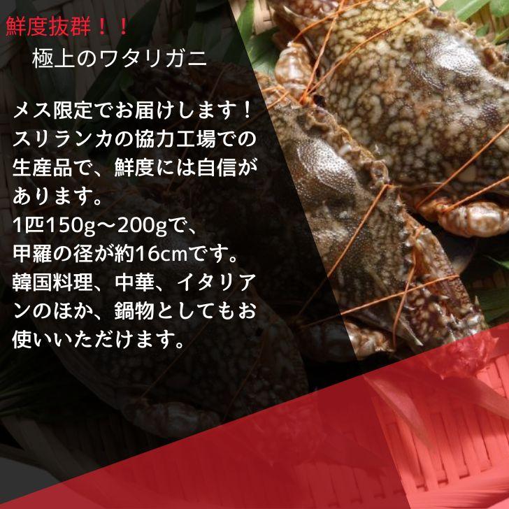 メス限定！極上のワタリガニ スリランカ産 匹150-200g 5kg（1kg約6-7匹）メス イタリアン 韓国料理 カンジャンケジャン風 渡り蟹 わたりがに 冷凍 加熱用 業務用 |  | 05