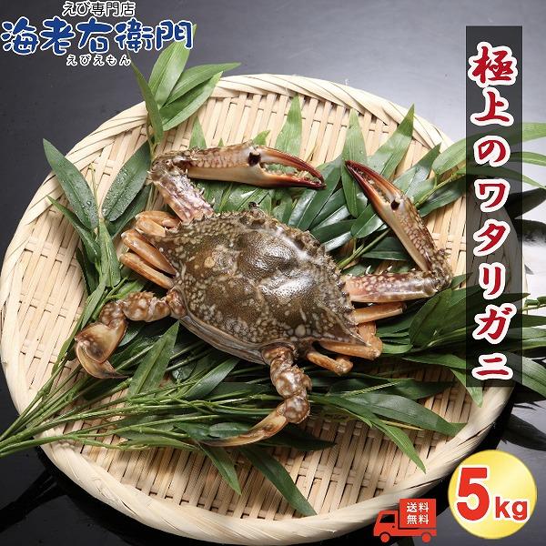 メス限定！極上のワタリガニ スリランカ産 匹150-200g 5kg（1kg約6-7匹）メス イタリアン 韓国料理 カンジャンケジャン風 渡り蟹 わたりがに 冷凍 加熱用 業務用 |  | 06