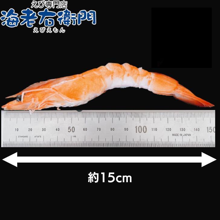 海老 ボイル 冷凍 有頭ボイル 海老 920gに50尾入ってます 解凍するだけ 海老 えび エビ 冷凍エビ 業務用 |  | 06