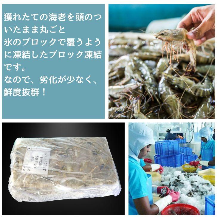 有頭 ブラックタイガー海老 50尾入り 1.3kg　長さ約14-15cm 1尾約26g 冷凍えび スリランカ バーベキュー エビフライ 塩焼き 天ぷら 業務用 |  | 13