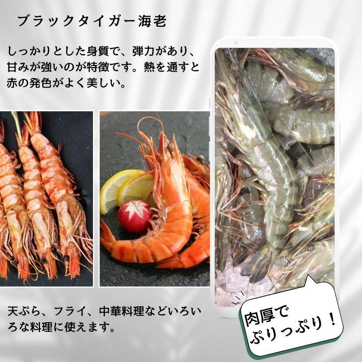 有頭 ブラックタイガー海老 50尾入り 1.3kg　長さ約14-15cm 1尾約26g 冷凍えび スリランカ バーベキュー エビフライ 塩焼き 天ぷら 業務用 |  | 14