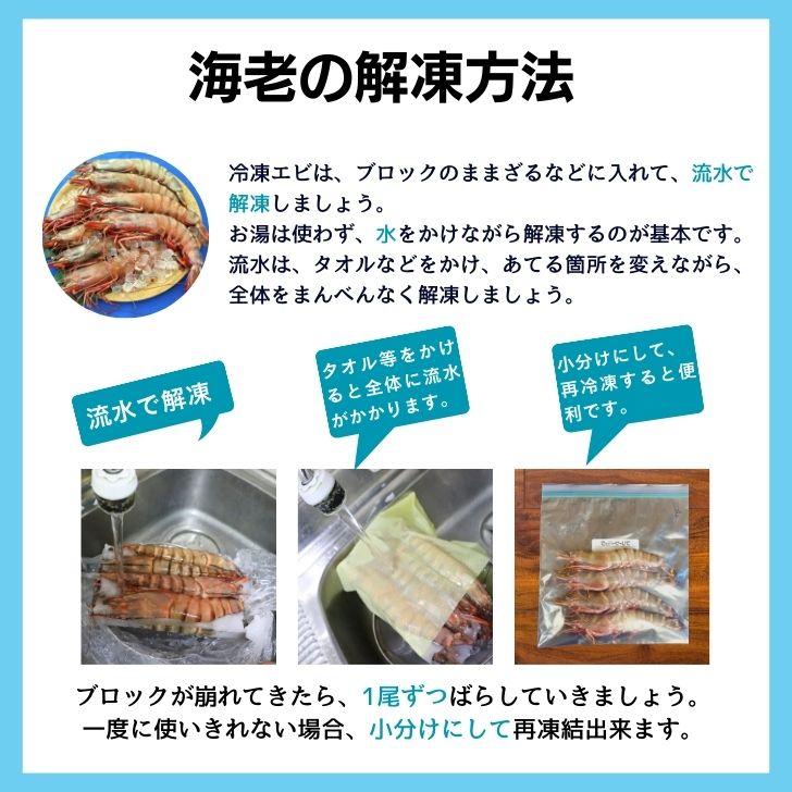 有頭 ブラックタイガー海老 50尾入り 1.3kg　長さ約14-15cm 1尾約26g 冷凍えび スリランカ バーベキュー エビフライ 塩焼き 天ぷら 業務用 |  | 15
