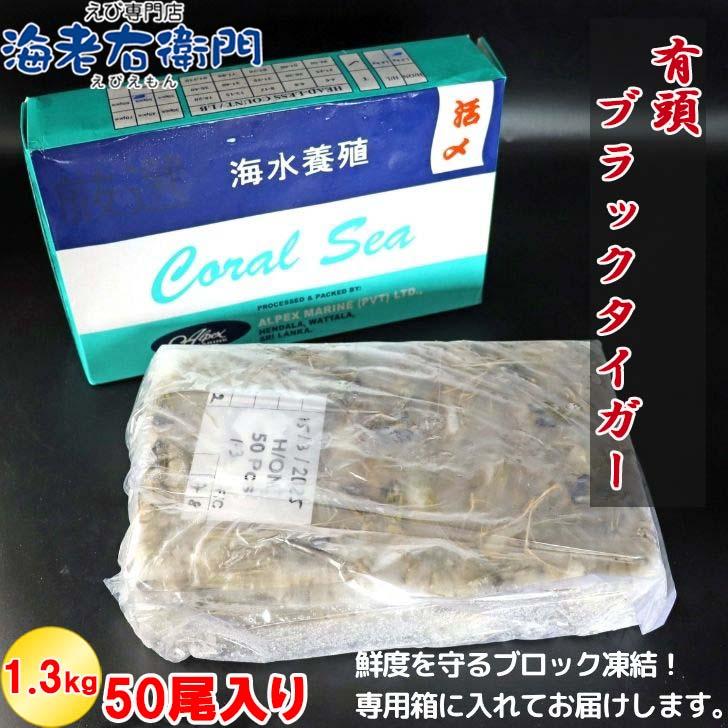 有頭 ブラックタイガー海老 50尾入り 1.3kg　長さ約14-15cm 1尾約26g 冷凍えび スリランカ バーベキュー エビフライ 塩焼き 天ぷら 業務用 |  | 17