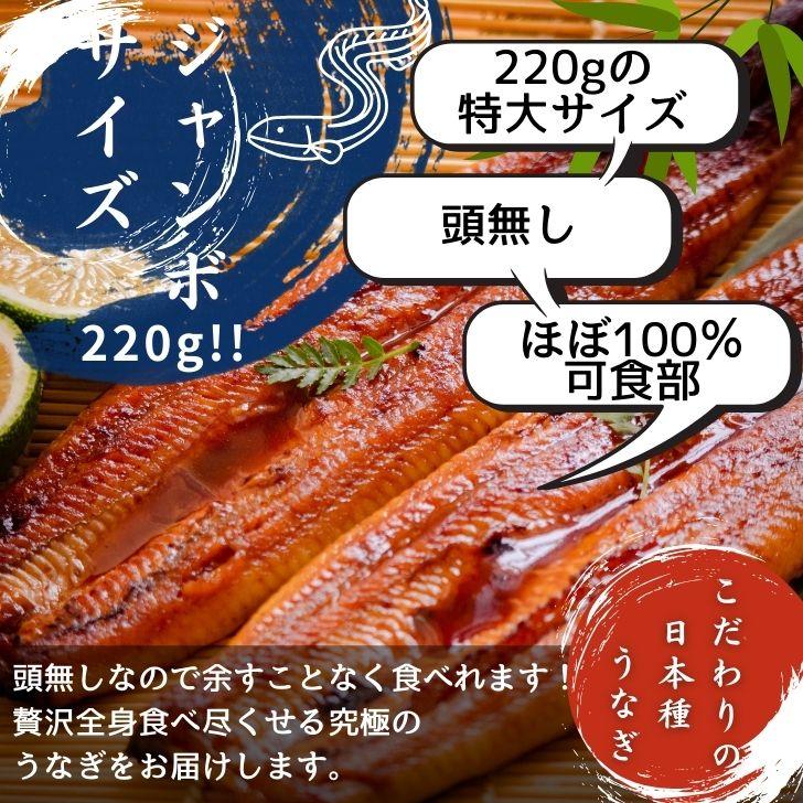 極上 にほんうなぎの蒲焼 日本種（ジャポニカ種）無頭 約220g1尾入り タレ、山椒付き 可食部分ほぼ100%！鰻丼  軍艦巻 うな丼 うなぎ ひなまつり ギフト 業務用 |  | 08