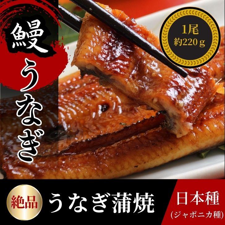 極上 にほんうなぎの蒲焼 日本種（ジャポニカ種）無頭 約220g1尾入り タレ、山椒付き 可食部分ほぼ100%！鰻丼  軍艦巻 うな丼 うなぎ ひなまつり ギフト 業務用 |  | 13