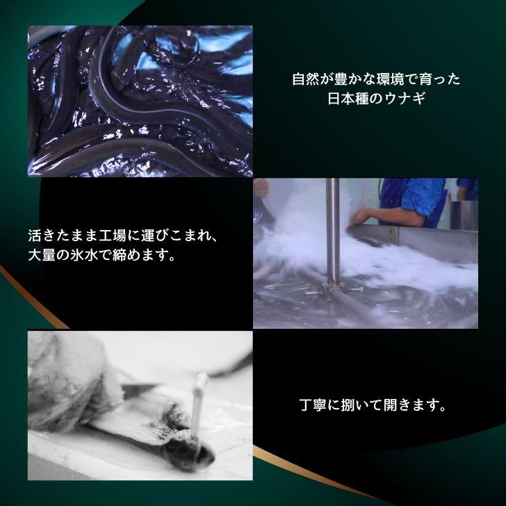 極上 にほんうなぎの蒲焼 日本種（ジャポニカ種）無頭 約220g1尾入り タレ、山椒付き 可食部分ほぼ100%！鰻丼  軍艦巻 うな丼 うなぎ ひなまつり ギフト 業務用 |  | 05