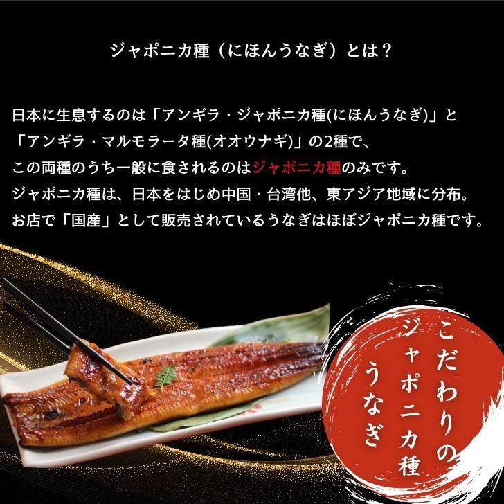 極上 にほんうなぎの蒲焼 日本種（ジャポニカ種）無頭 約220g1尾入り タレ、山椒付き 可食部分ほぼ100%！鰻丼  軍艦巻 うな丼 うなぎ ひなまつり ギフト 業務用 |  | 02