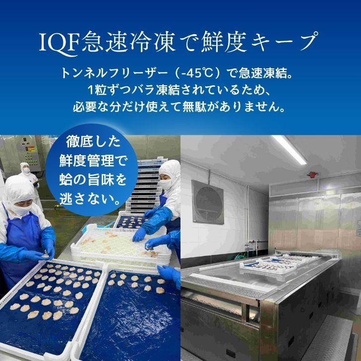 ハマグリ むき身 500g（20〜30粒） 蛤 砂抜き済み 冷凍 IQF バラ凍結 殻なし はまぐり 蛤 お吸い物 酒蒸し パスタ 炊き込みご飯 ギフト 業務用 |  | 08