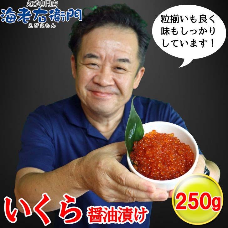 鮭いくらの醤油漬け 250g 鮭のイクラ 北海道加工 イクラ丼 鮭 サケ 海鮮 丼 軍艦 手巻き 寿司 ちらし ikura ギフト |  | 06