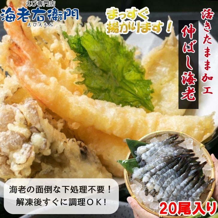 活原料を使った伸ばし海老 20尾入り 380g 約16〜17cmの大型！特大 下処理不要 天ぷら むきえび 殻剥き不要 ぷりっぷり 業務用 | 
