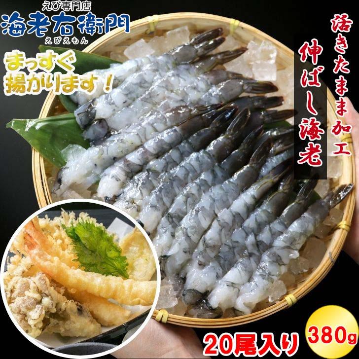 活原料を使った伸ばし海老 20尾入り 380g 約16〜17cmの大型！特大 下処理不要 天ぷら むきえび 殻剥き不要 ぷりっぷり 業務用 |  | 16
