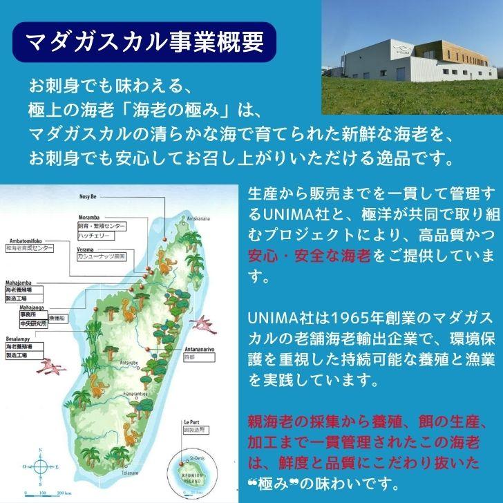 海老の極 特大 800g （27尾入り）生食可 エビ 冷凍 お刺身 しゃぶしゃぶ ギフト 化粧箱 お取り寄せ 冷凍エビ キョクヨー 業務用 |  | 02