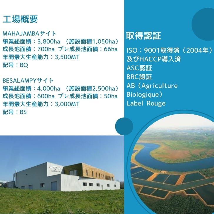 海老の極 特大 800g （27尾入り）生食可 エビ 冷凍 お刺身 しゃぶしゃぶ ギフト 化粧箱 お取り寄せ 冷凍エビ キョクヨー 業務用 |  | 18