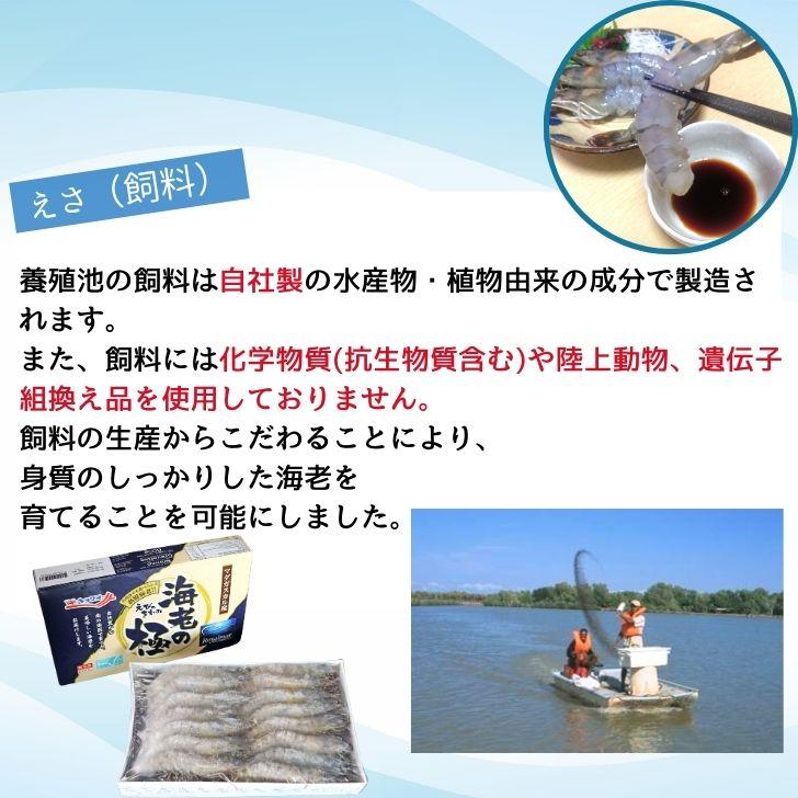 海老の極 特大 800g （27尾入り）生食可 エビ 冷凍 お刺身 しゃぶしゃぶ ギフト 化粧箱 お取り寄せ 冷凍エビ キョクヨー 業務用 |  | 06