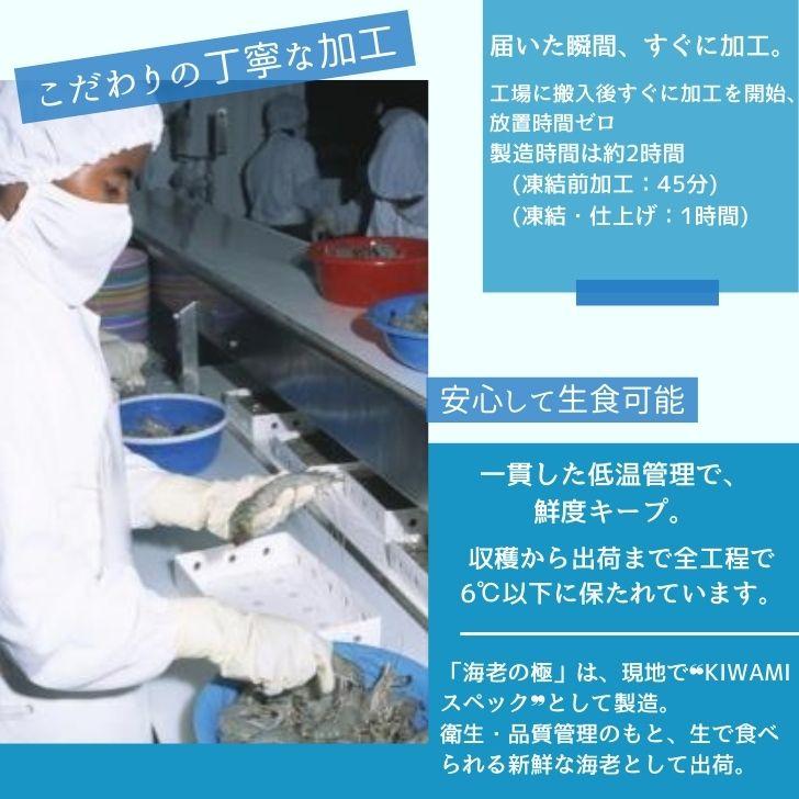 海老の極 特大 800g （27尾入り）生食可 エビ 冷凍 お刺身 しゃぶしゃぶ ギフト 化粧箱 お取り寄せ 冷凍エビ キョクヨー 業務用 |  | 08