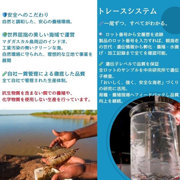 海老の極 特大 800g （27尾入り）生食可 エビ 冷凍 お刺身 しゃぶしゃぶ ギフト 化粧箱 お取り寄せ 冷凍エビ キョクヨー 業務用 |  | 16