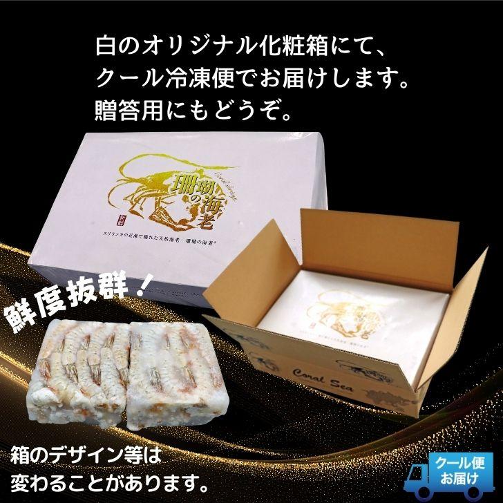 天然 ホワイト海老 超特大サイズ 8/12 約32-48本入り 無頭えび 天然海老 1.8kg（900g×2） 業務用 |  | 13