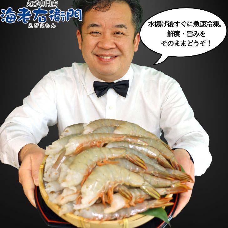 天然 ホワイト海老 超特大サイズ 8/12 約32-48本入り 無頭えび 天然海老 1.8kg（900g×2） 業務用 |  | 04
