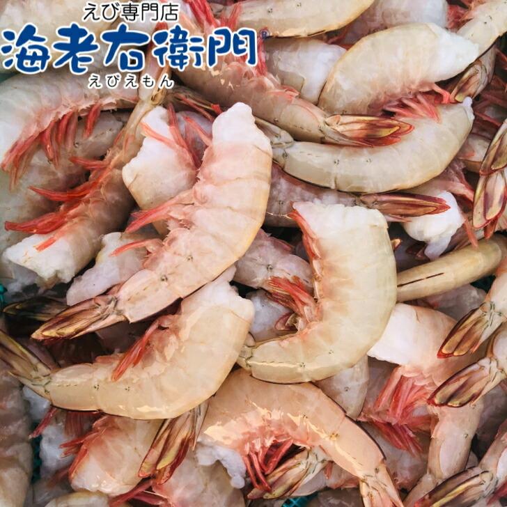 冷凍 天然ホワイト 海老 中サイズ 約115本入り 無頭えび 216 900gブロックが二つ入っています 900g 約50-65尾 ずつ解凍できます 業務用 |  | 01