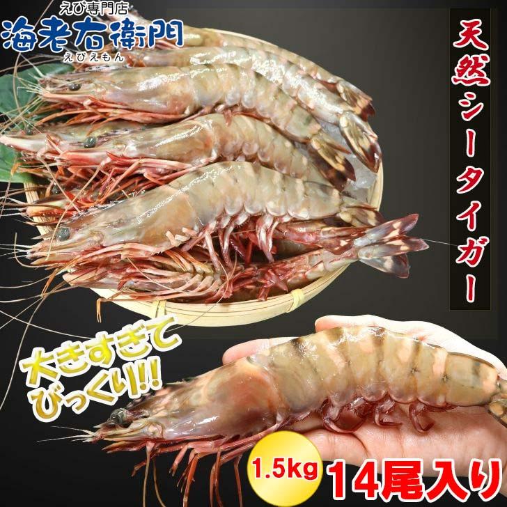 シータイガー 冷凍海老 当店直輸入 有頭 特大 冷凍エビ 超特大 天然有頭シータイガーえび 1.5kg 14尾サイズ スリランカ バーベキュー エビフライ 業務用 |  | 13