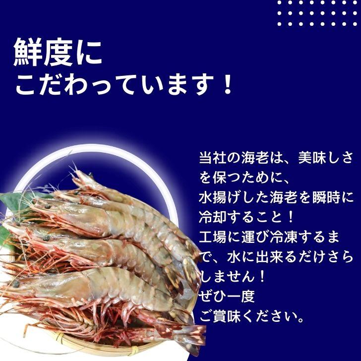 シータイガー 冷凍海老 当店直輸入 有頭 特大 冷凍エビ 超特大 天然有頭シータイガーえび 1.5kg 14尾サイズ スリランカ バーベキュー エビフライ 業務用 |  | 14