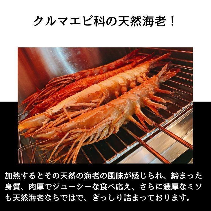 シータイガー 冷凍海老 当店直輸入 有頭 特大 冷凍エビ 超特大 天然有頭シータイガーえび 1.5kg 14尾サイズ スリランカ バーベキュー エビフライ 業務用 |  | 03