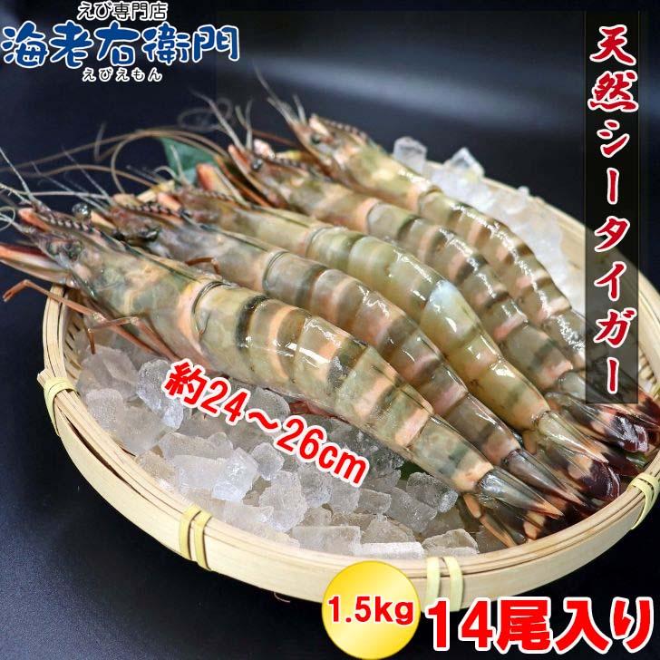 シータイガー 冷凍海老 当店直輸入 有頭 特大 冷凍エビ 超特大 天然有頭シータイガーえび 1.5kg 14尾サイズ スリランカ バーベキュー エビフライ 業務用 |  | 06