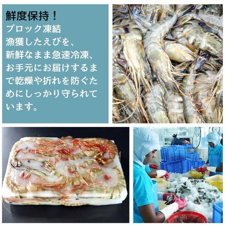 シータイガー 冷凍海老 当店直輸入 有頭 特大 冷凍エビ 超特大 天然有頭シータイガーえび 1.5kg 14尾サイズ スリランカ バーベキュー エビフライ 業務用｜ebiemon｜08