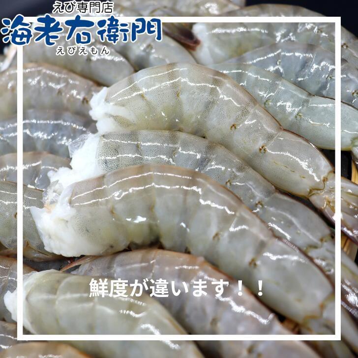 バナメイエビ 無頭 冷凍エビ 奇跡の海老 食べ放題 大盛り 約84〜100本入り 21/25サイズ 活〆バナメイ 無頭えび 大サイズ 900g×2で1.8kg 業務用 |  | 04
