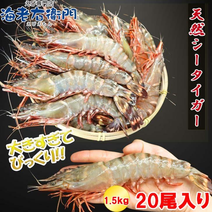 シータイガー 冷凍海老 当店直輸入 有頭 特大 冷凍エビ 超特大 天然有頭シータイガーえび 1.5kg 20尾サイズ スリランカ バーベキュー エビフライ 業務用 |  | 10