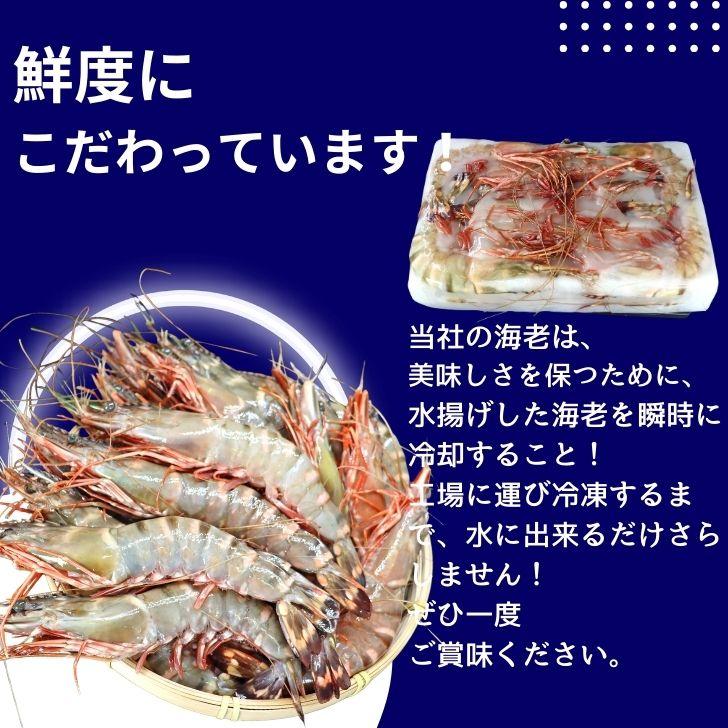 シータイガー 冷凍海老 当店直輸入 有頭 特大 冷凍エビ 超特大 天然有頭シータイガーえび 1.5kg 20尾サイズ スリランカ バーベキュー エビフライ 業務用 |  | 12