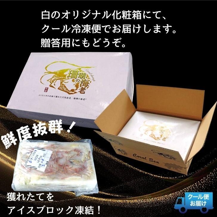 シータイガー 冷凍海老 当店直輸入 有頭 特大 冷凍エビ 超特大 天然有頭シータイガーえび 1.5kg 20尾サイズ スリランカ バーベキュー エビフライ 業務用 |  | 14