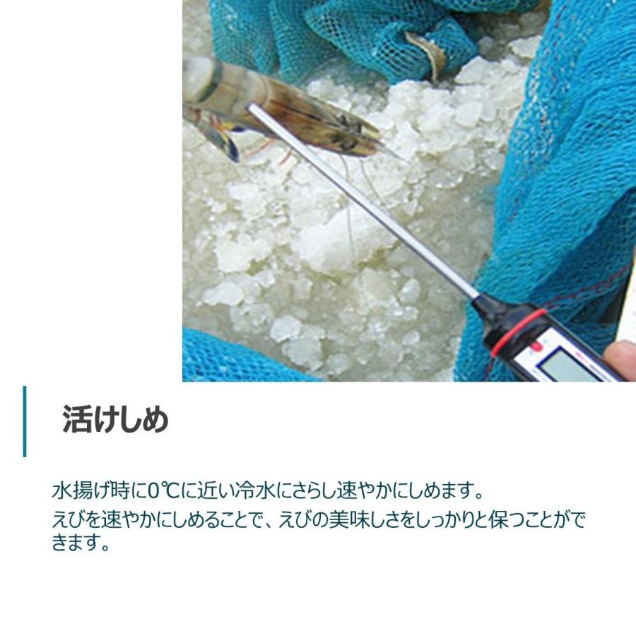 シータイガー 冷凍海老 当店直輸入 有頭 特大 冷凍エビ 超特大 天然有頭シータイガーえび 1.5kg 20尾サイズ スリランカ バーベキュー エビフライ 業務用 |  | 15