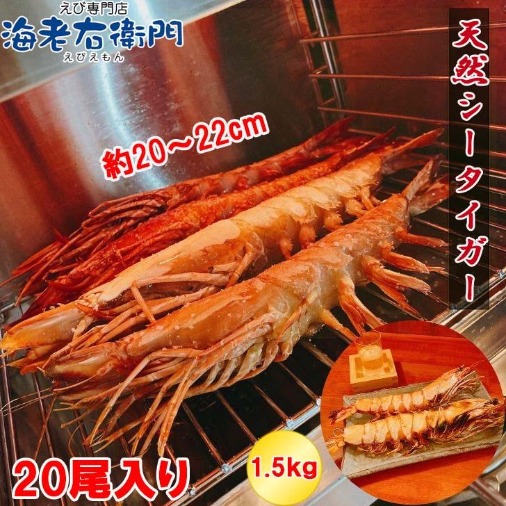 シータイガー 冷凍海老 当店直輸入 有頭 特大 冷凍エビ 超特大 天然有頭シータイガーえび 1.5kg 20尾サイズ スリランカ バーベキュー エビフライ 業務用 |  | 01