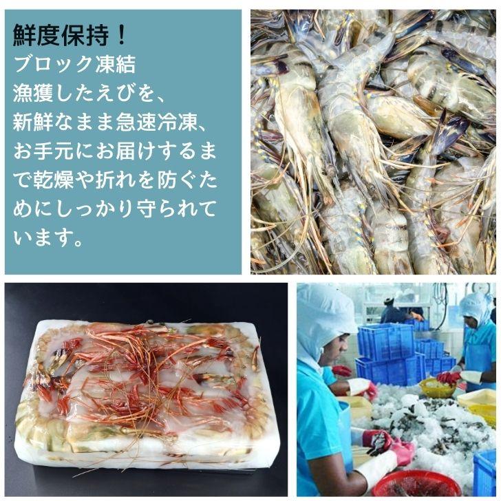 シータイガー 冷凍海老 当店直輸入 有頭 特大 冷凍エビ 超特大 天然有頭シータイガーえび 1.5kg 20尾サイズ スリランカ バーベキュー エビフライ 業務用 |  | 05
